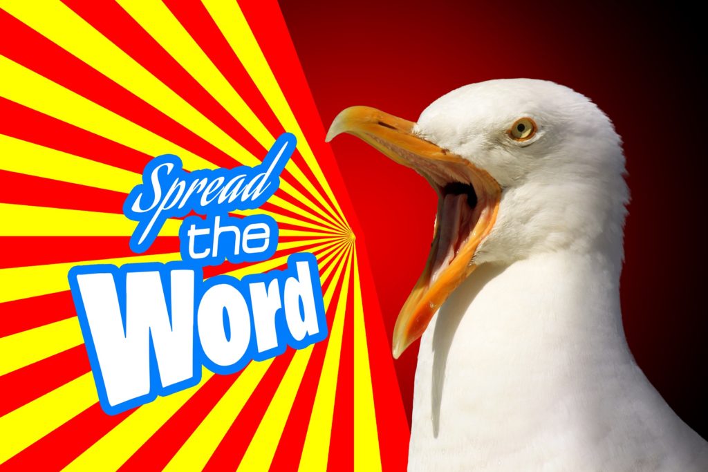 Symbolbild: Möwe ruft "Spread the Word"