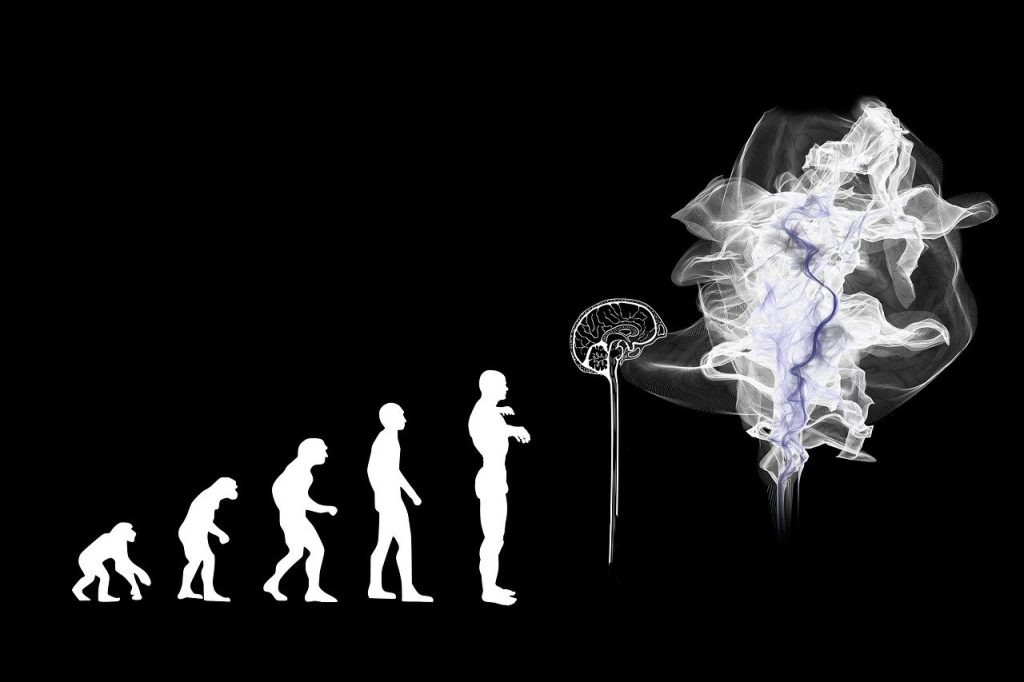 Evolution vom Mensch zur KI